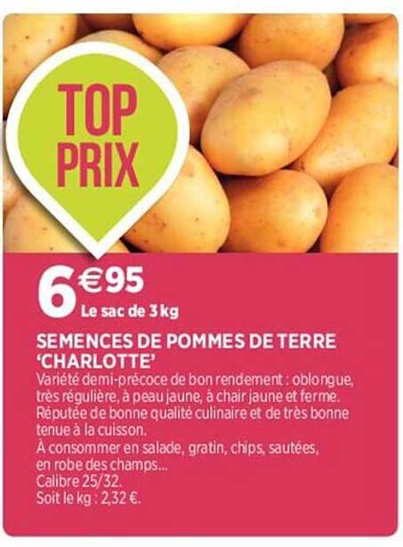 semences de pomme de terre "charlotte"