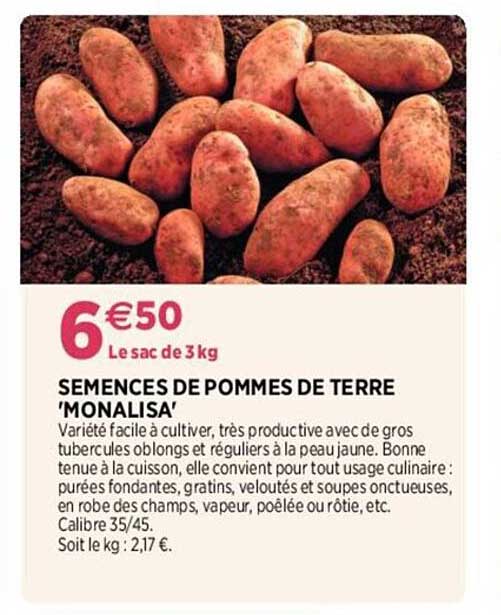 Semences De Pommes De Terre "monalisa"