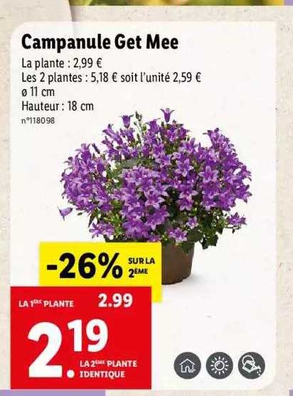 campanule get mee