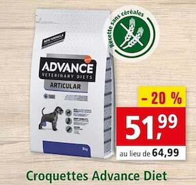 croquettes advance diet