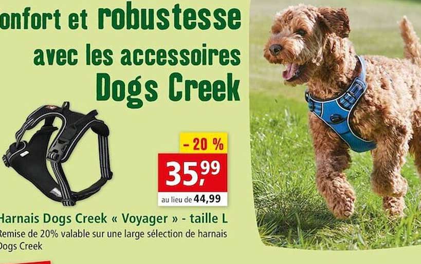 harnais dogs creek «voyager» taille l