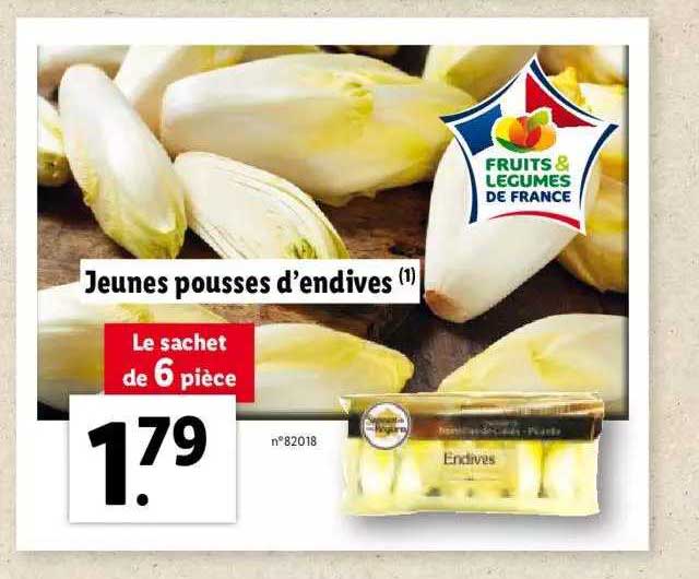 jeunes pousses d'endives