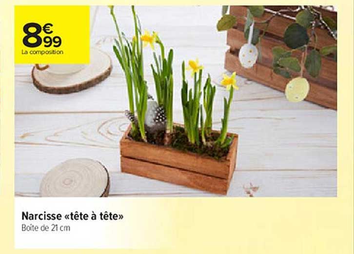 Narcisse "tête à Tête"
