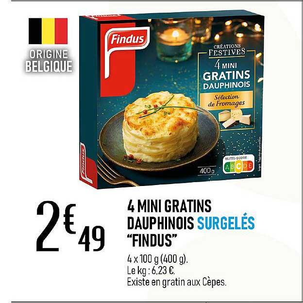 4 mini gratins dauphinois surgelés "findus"