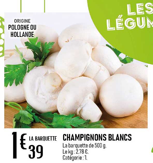 Champignons Blancs