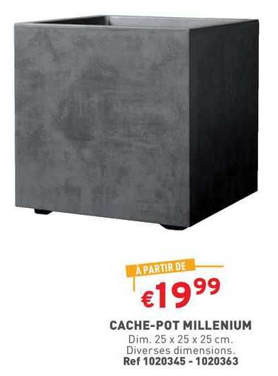 cache-pot millenium