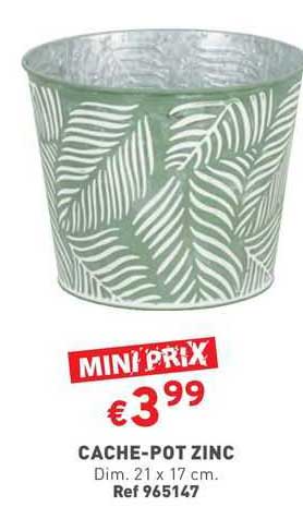cache-pot zinc