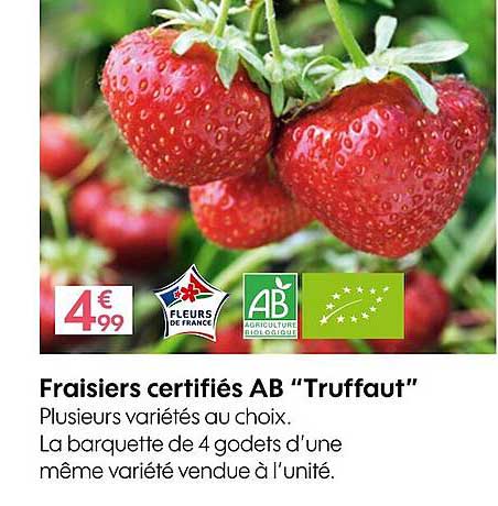 fraisiers certifiés ab "truffaut"
