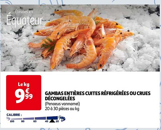 Gambas Entières Cuites Réfrigérées Ou Crues Décongelées
