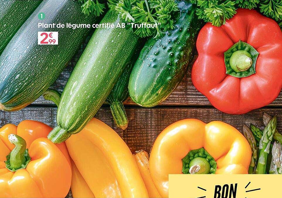 plant de légume certifié ab "truffaut"