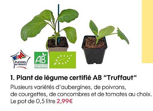 plant de légume certifié ab "truffaut"