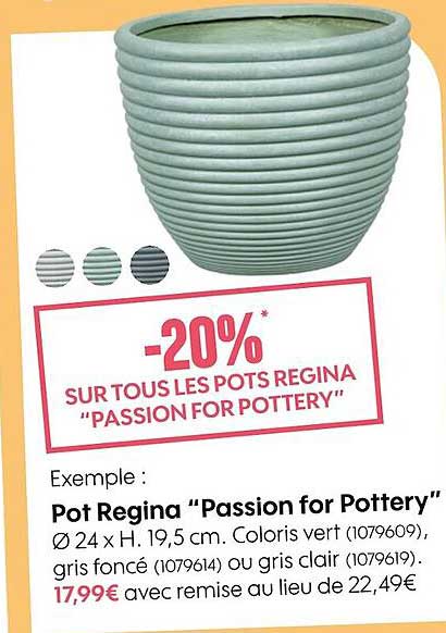 pot regina "passion for pottery"