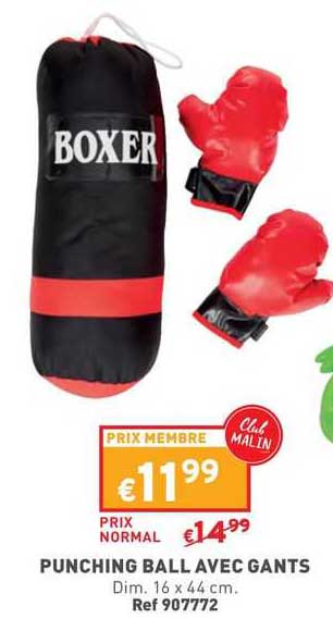 punching ball avec gants