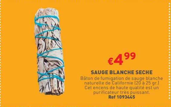 sauge blanche seche