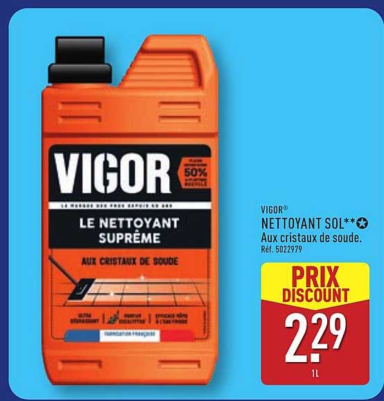 VIGOR NETTOYANT SOL**☆