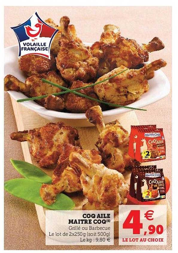 coq aile maître coq