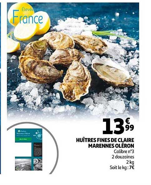 huîtres fines de claire marennes oléron