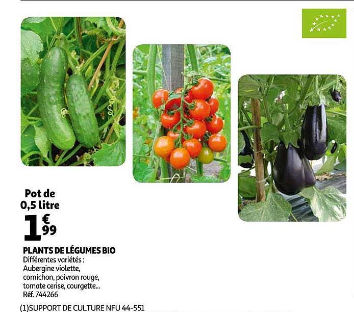 plants de légumes bio