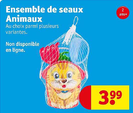 Ensemble De Seaux Animaux