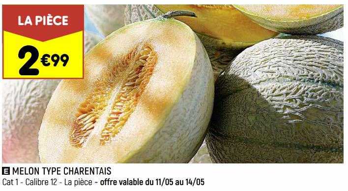 melon type charentais