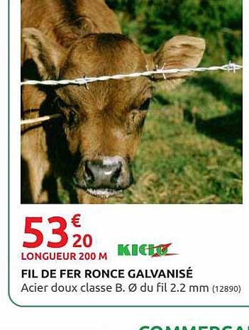 fil de fer ronce galvanisé kidoz