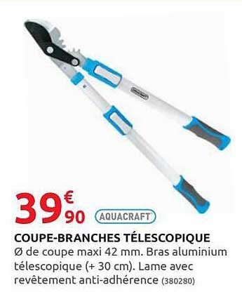 coupe-branches télescopique aquacraft