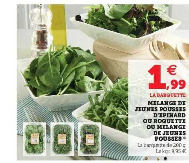 mélange de jeunes pousses d'épinard ou roquette ou mélange de jeunes pousses