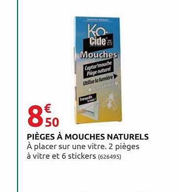 pièges à mouches naturels