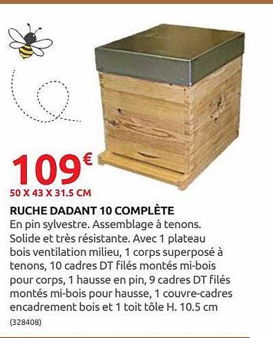 ruche dadant 10 complète