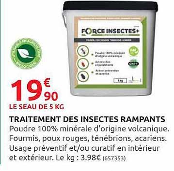 Traitement Des Insectes Rampants
