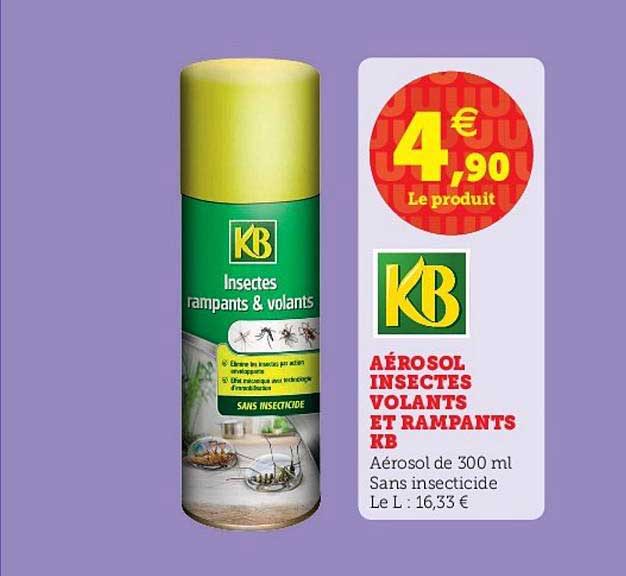 aérosol insectes volant et rampants kb