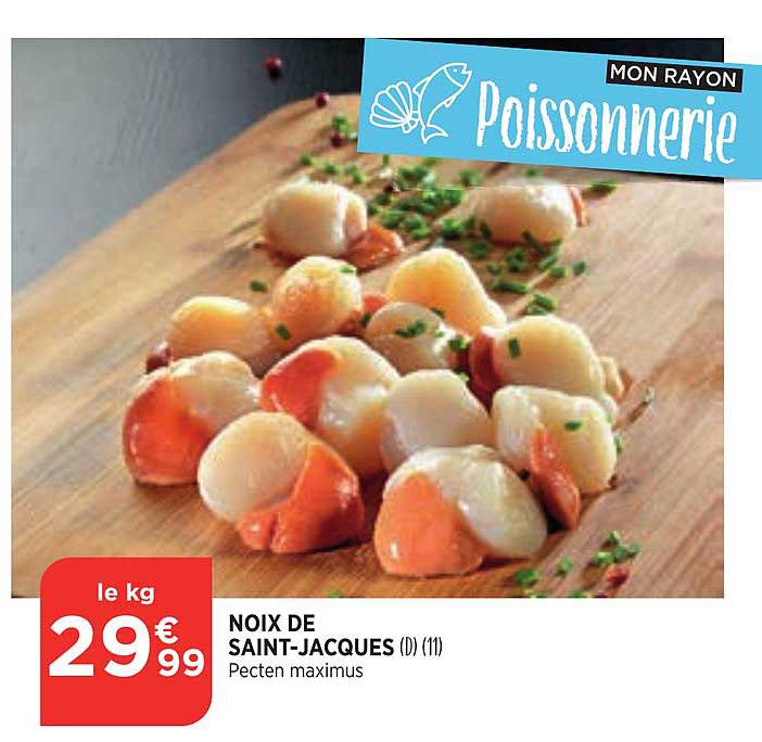 noix de saint jacques