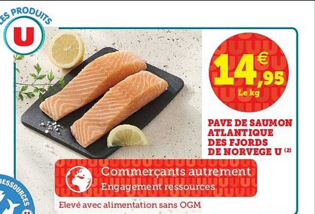 Pavé De Saumon Atlantique Des Fjords De Norvège U