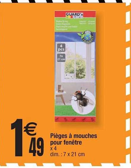 pièges à mouches pour fenêtre