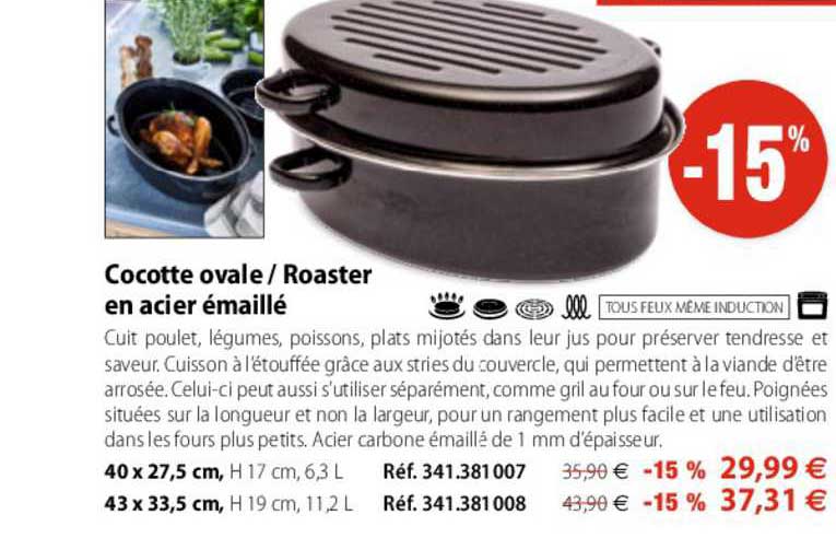 cocottes ovale -  roaster en acier émaillé
