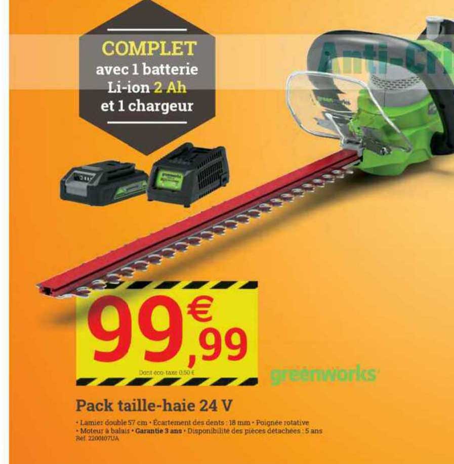 pack taille-haies 24 v greenworks