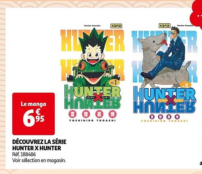 découvrez la série hunter X hunter
