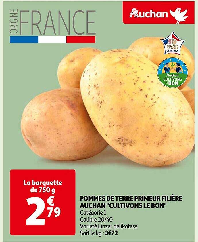 pommes de terre primeur filière auchan "cultivons le bon"