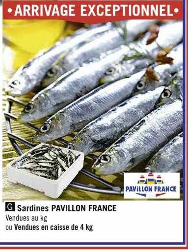 sardines pavillon france