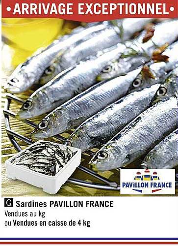 sardines pavillon france