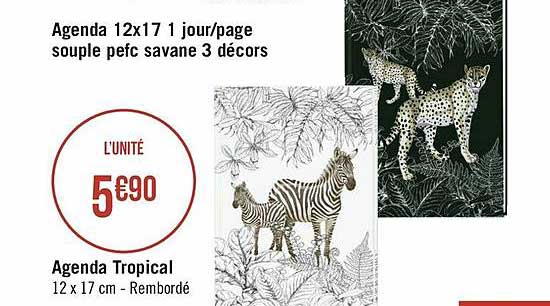 agenda tropical , agenda 12 x 17 1 jour - page souple pefc savane 3 décors