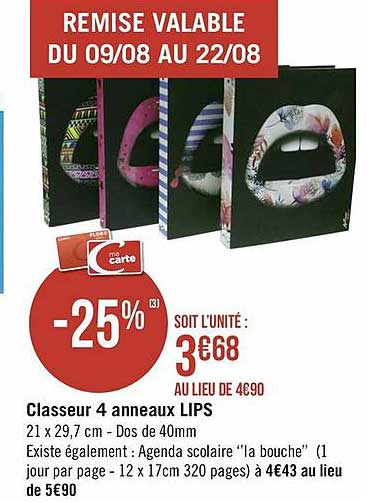 classeur 4 anneaux lips