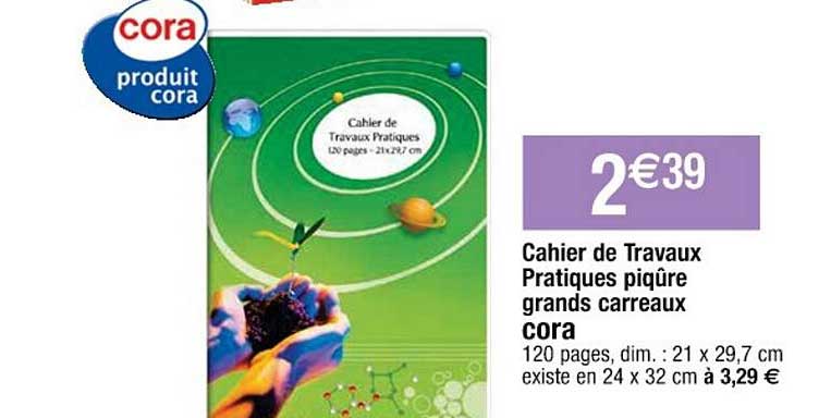 cahier de travaux pratique piqûre grands carreaux cora