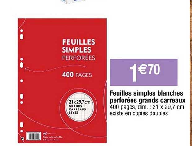 feuilles simples blanches perforées grands carreaux