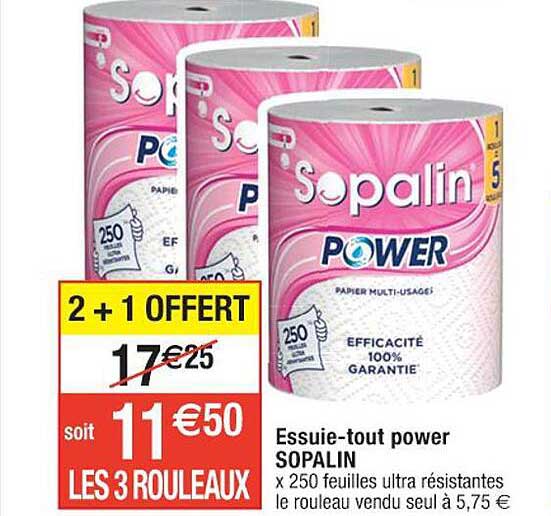 essuie-tout power sopalin