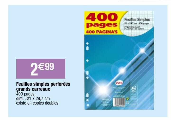 feuilles simples perforées grands carreaux