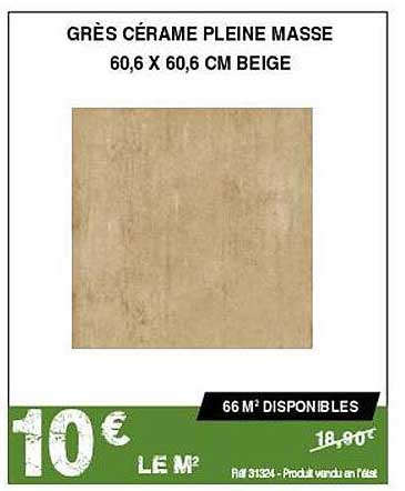 grès cérame pleine masse 60,6 x 60,6 cm beige