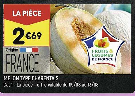 melon type charentais