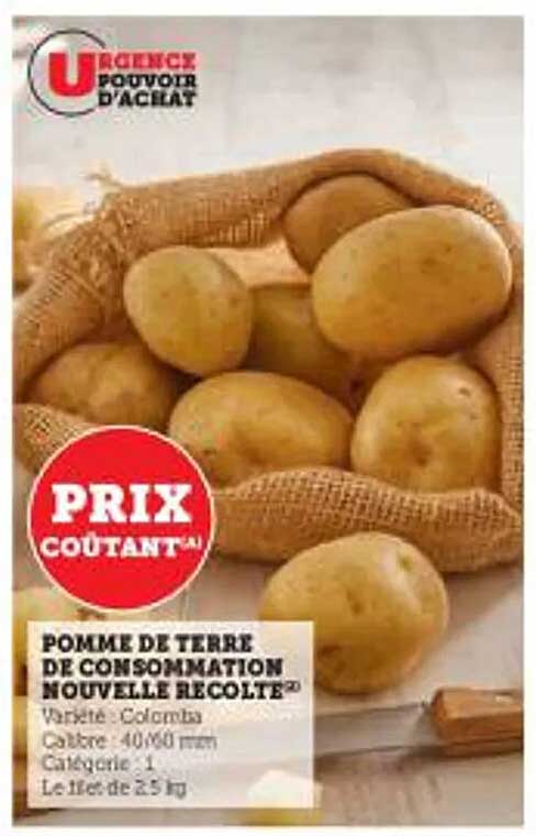 pomme de terre de consommation nouvelle récolte