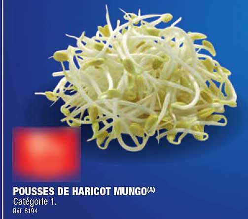 Pousses De Haricot Mungo